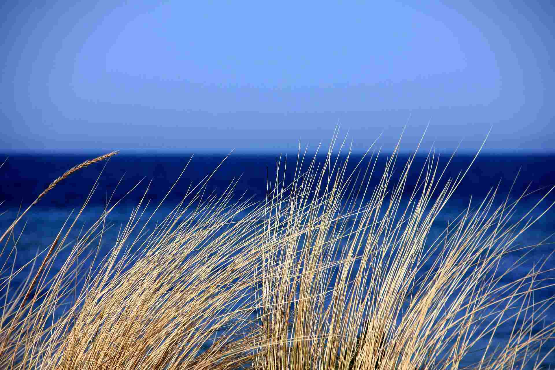 Body Psychotherapy in Bristol
