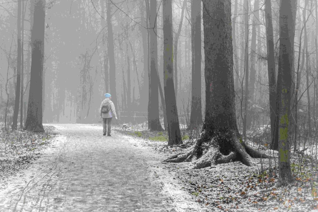 Person walking alone through misty forest reflecting grief and emotional processing